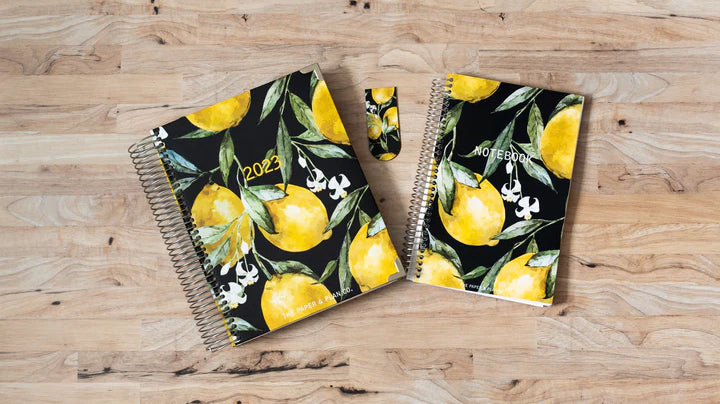 getting organized -  daily planner - the paper & plan co