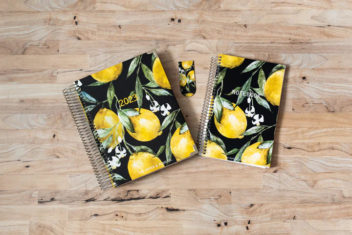 getting organized -  daily planner - the paper & plan co